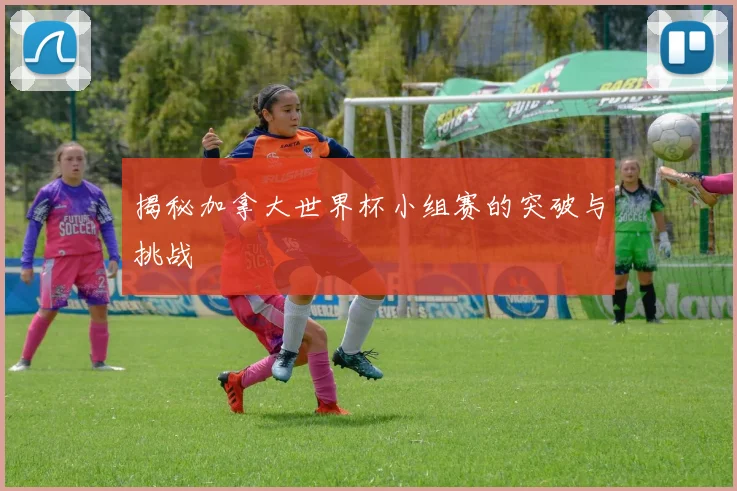 揭秘加拿大世界杯小组赛的突破与挑战