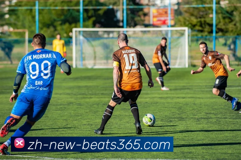 多媒体互动体验